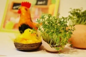 Dekoracje, Dekoracje świąteczne, dekoracje wielkanocne, Jajka, Dom, Gotowanie, Pisanki, Parapet, Święta, Wielkanoc, jajka na wielkanoc