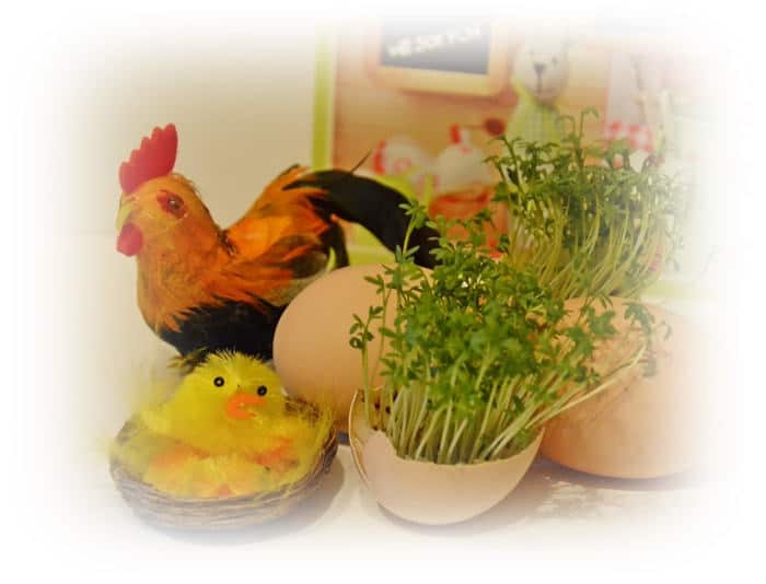 Dekoracje na Święta Dekoracje, dekoracje wielkanocne, Dekoracje świąteczne, Jajka, pisanki, Wielkanoc, Święta
