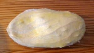 Jak wyhodować mango w doniczce