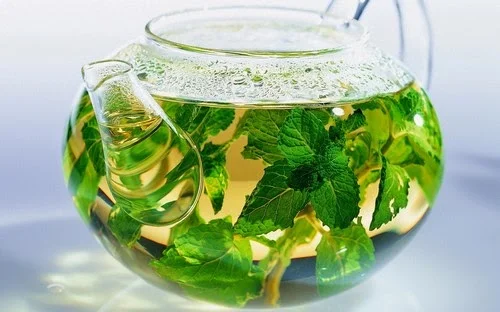 zastosowanie mięty, właściwości mięty, mięta na żołądek, mięta na niestrawność, peeling z mięty, mięta na ból głowy, herbatka miętowa, orzeźwiająca mięta, odświeżenie miętą, inhalacje miętą