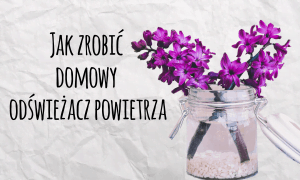 odświeżacz powietrza, jak zrobić odświeżacz powietrza, domowy odświeżacz powietrza, jak zrobić odświeżacz powietrza, jak zrobić odświeżacz powietrza z sody, ekologiczny odświeżacz powietrza, naturalny odświeżacz powietrza