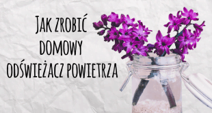odświeżacz powietrza, jak zrobić odświeżacz powietrza, domowy odświeżacz powietrza, jak zrobić odświeżacz powietrza, jak zrobić odświeżacz powietrza z sody, ekologiczny odświeżacz powietrza, naturalny odświeżacz powietrza