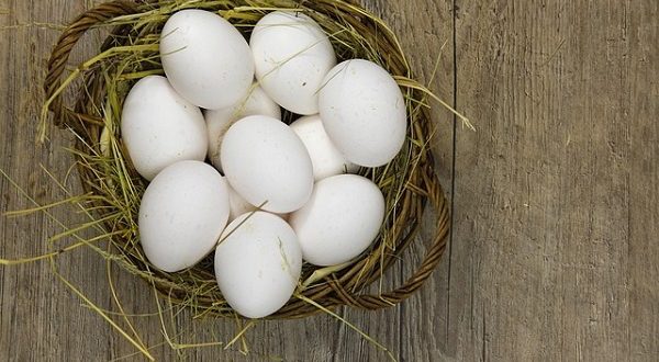 Nietypowe zastosowania jajek