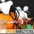 Dynia na Halloween – Pająk z dyni