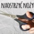 Sposób na usuwanie sierści z ubrań, dywanów i tapicerek