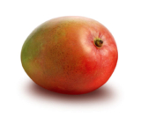 Jak wyhodować mango w doniczce